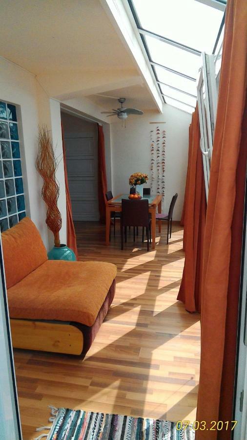 شقة La Pardela Oceanfront لوس رياليخوس المظهر الخارجي الصورة