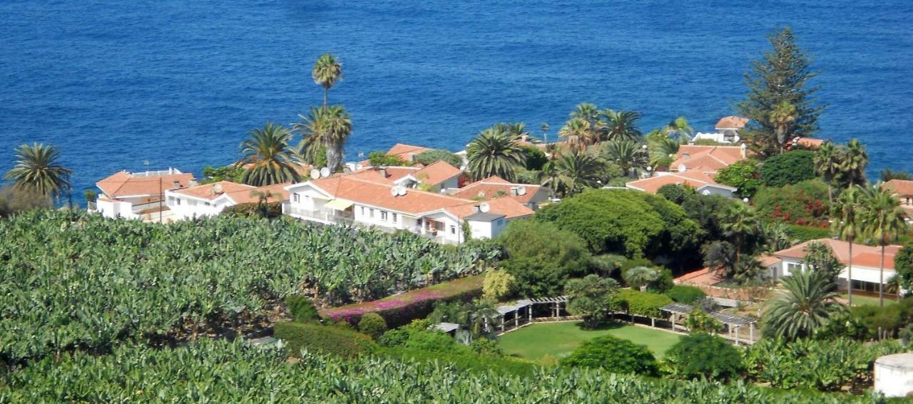 شقة La Pardela Oceanfront لوس رياليخوس المظهر الخارجي الصورة